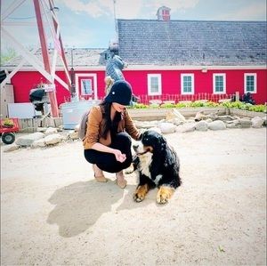 Meet your Posher, An